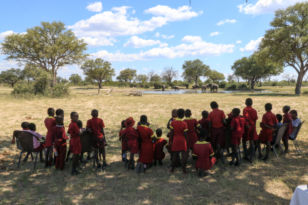 Camelthorn, Ngamo school kids on safari