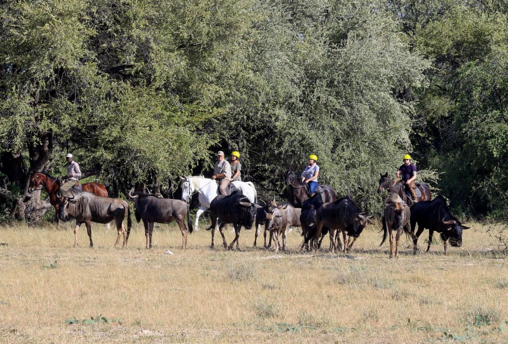 Horse riding Hwange