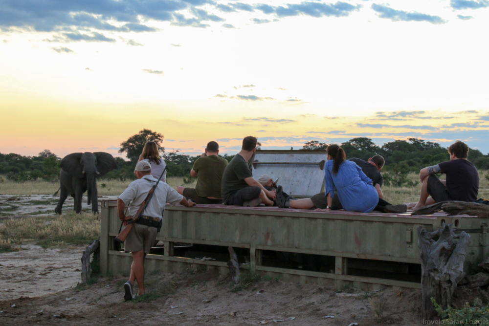 Sundowners at Jozi's Look up Hide