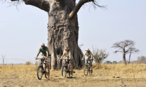 Remote Africa Safaris, Zambia