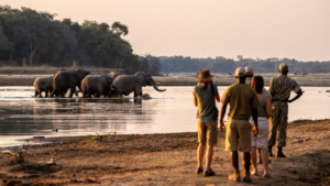 Remote Africa Safaris Zambia