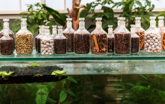 Babylonstoren Spice Room