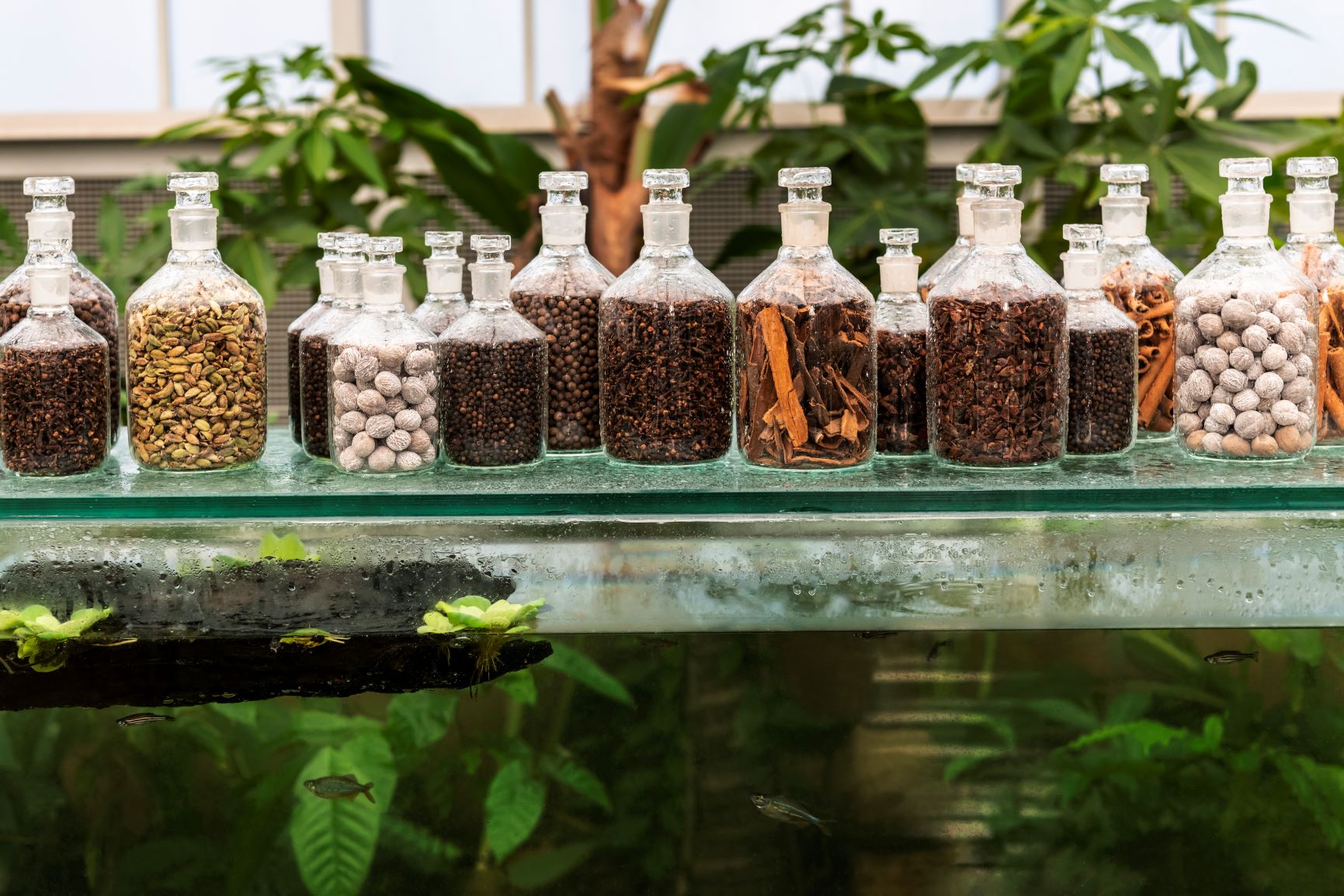 Babylonstoren Spice Room