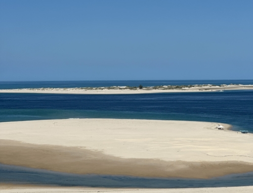 Helen & Sally’s adventure to Southern Mozambique in May 2024