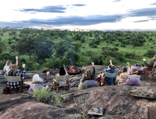 Northern Tanzania fam trip with Nimali – November 2023