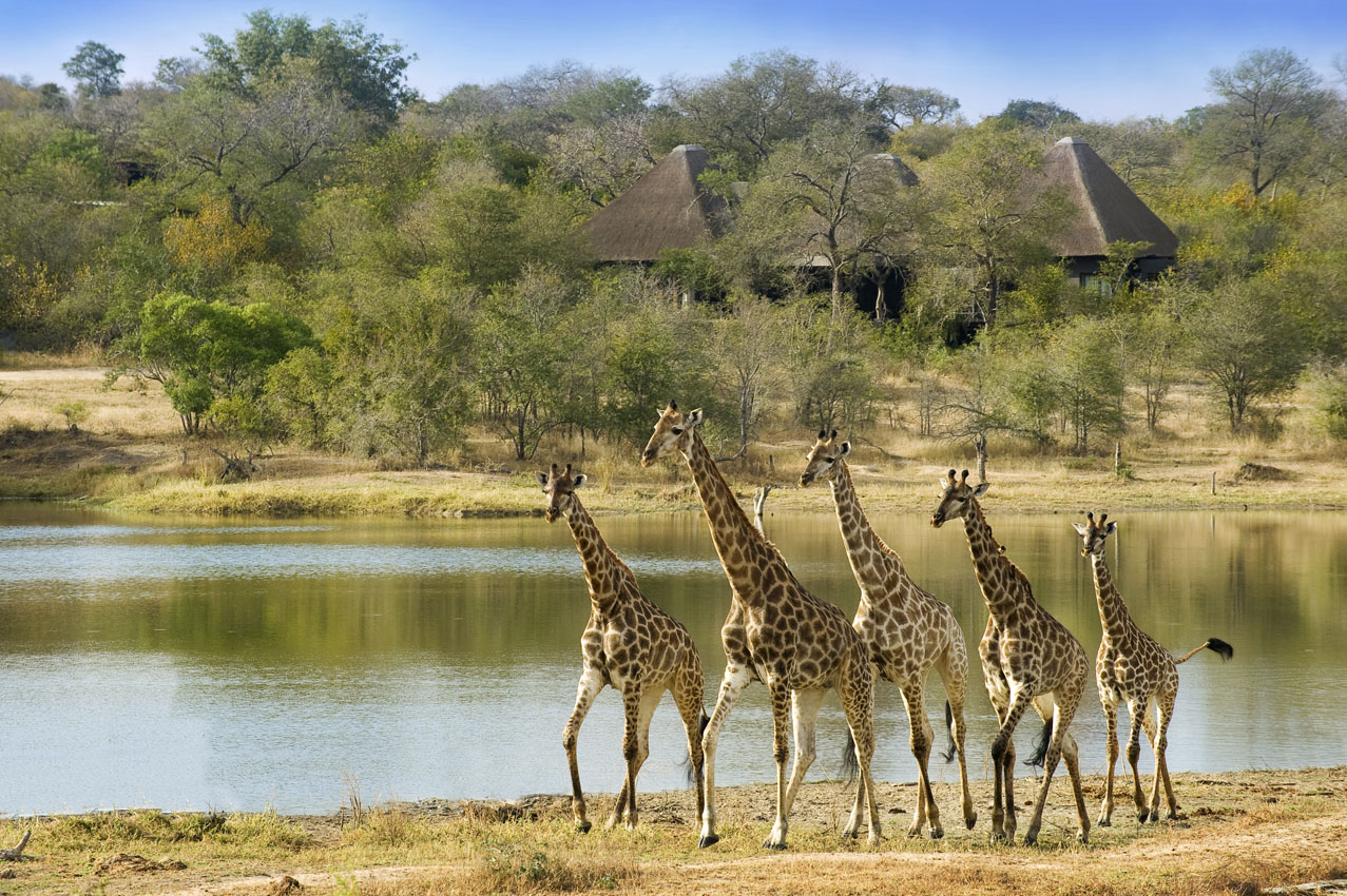 Chitwa Chitwa, Sabi Sands, South Africa