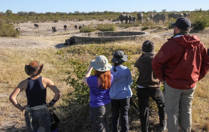 Studying elephant on the Conservation Course, Hwange NP
