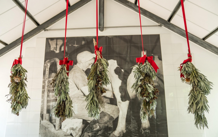 Christmas Fynbos @ Babylonstoren