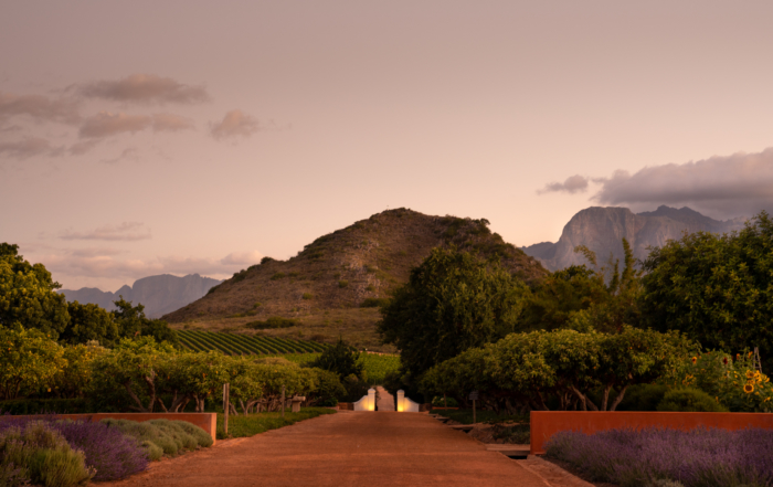 Romantic Farm Walks at Babylonstoren, Cape Winelands, South Africa