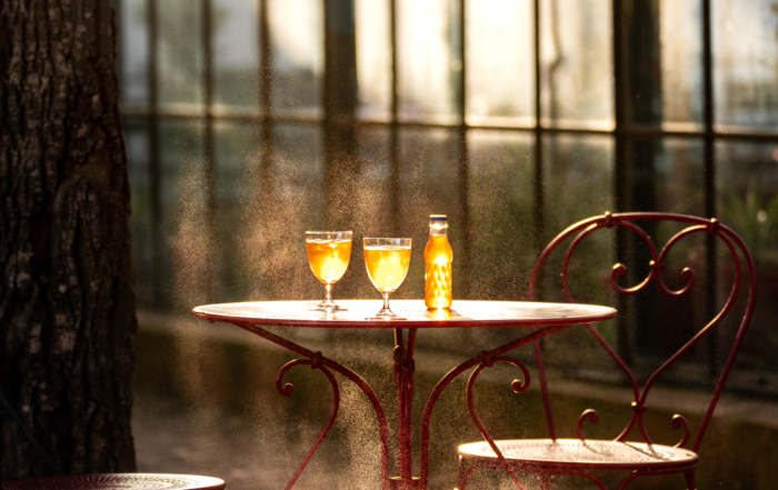 Romance at Babylonstoren