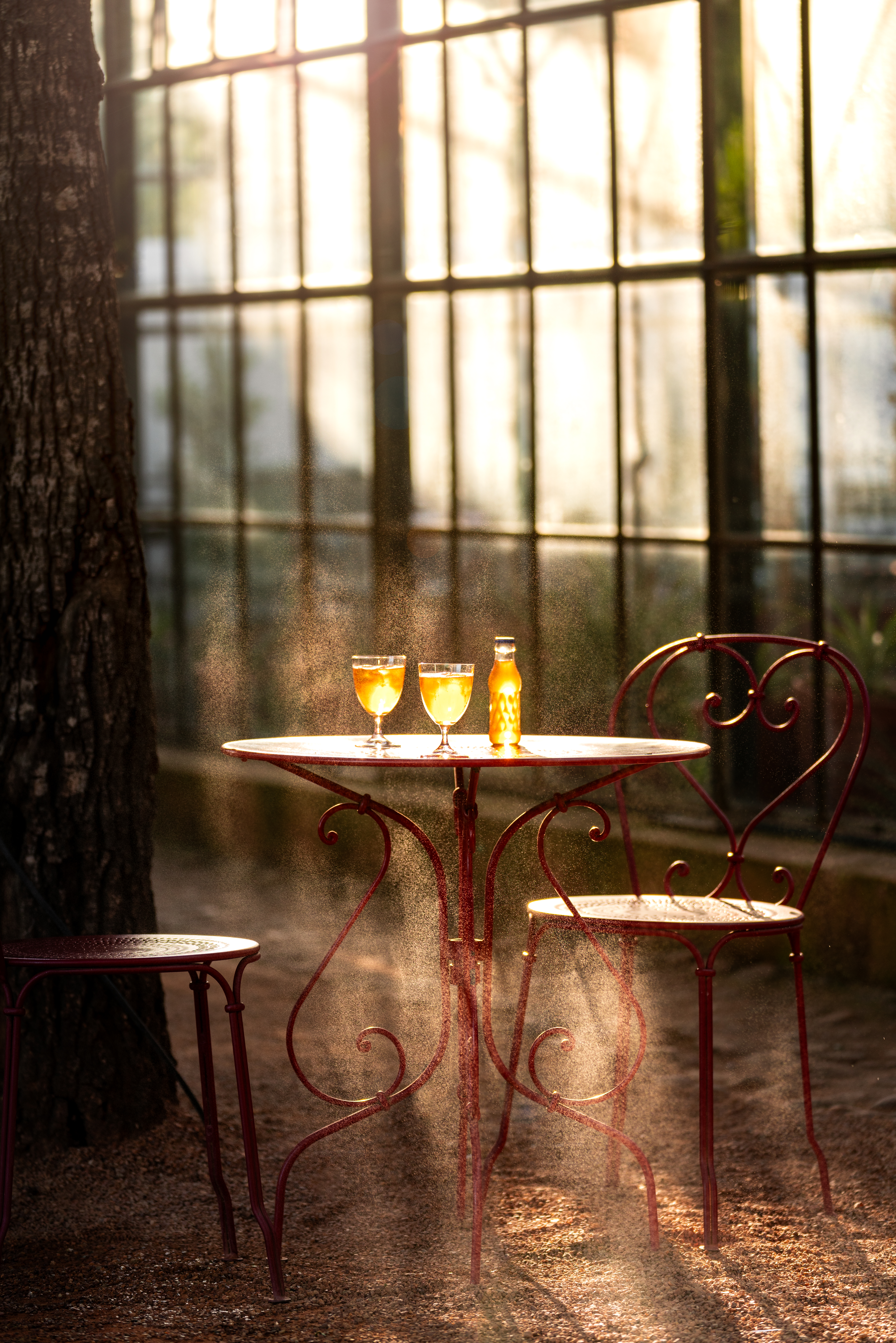 Romance at Babylonstoren