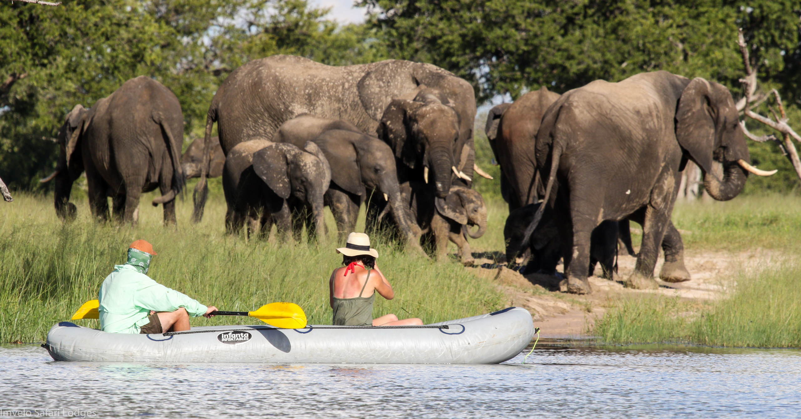 Canoeing with the elephants @ Bomani, Hwange NP