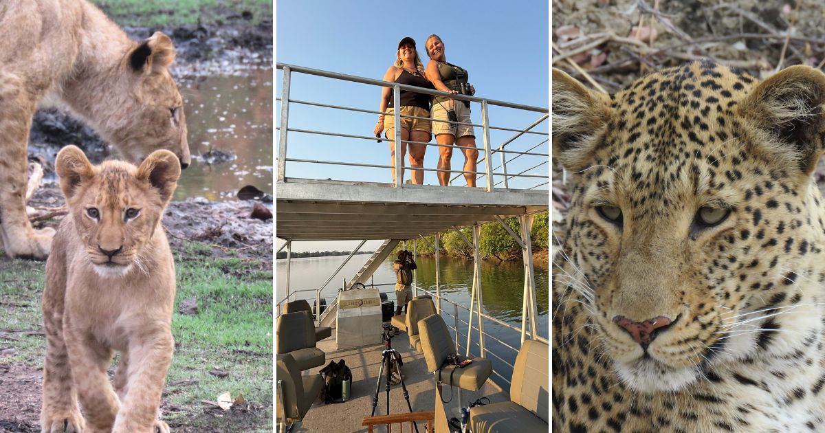 Lion, boat crossing and leopard in Kafue National Park
