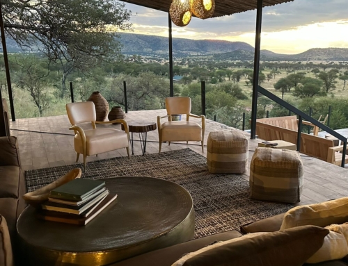 Summer Snippets 2023 – Nimali Camps, Tanzania