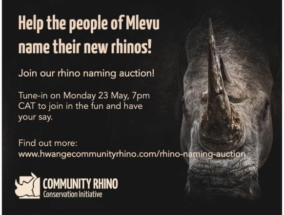 Imvelo Safari Lodges - Rhino Naming Auction