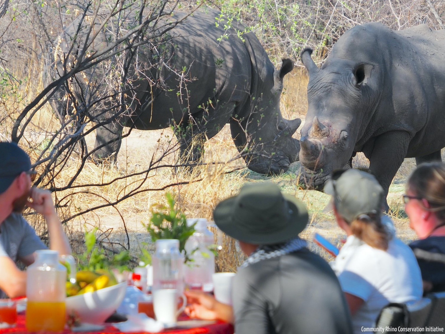 Rhinos at Breakfast - Camelthorn, Imvelo Safari Lodges, Hwange