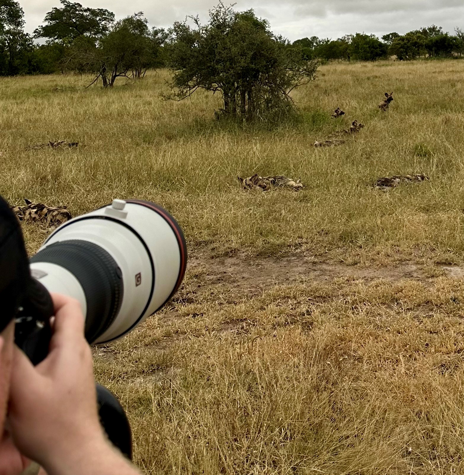 Photography at Chitwa Chitwa
