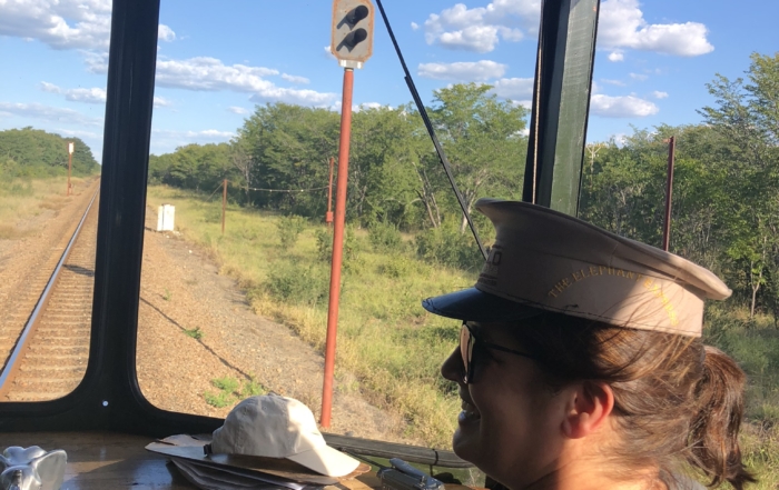 The Elephant Express